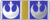 Valiance Combat Citation Valiance Combat Citation